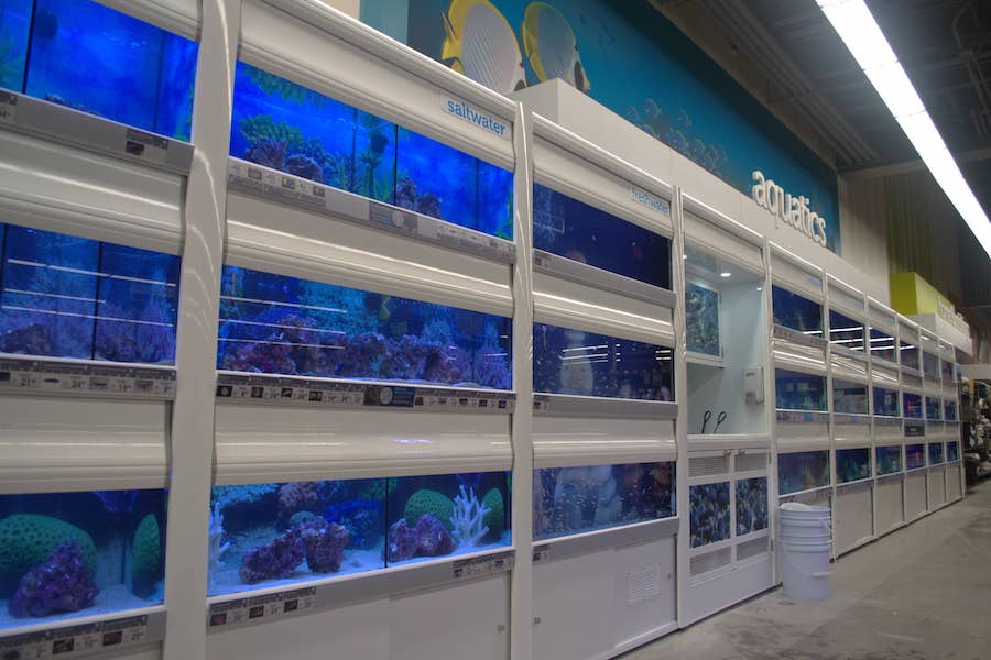 Petco Southroads Aquatics
